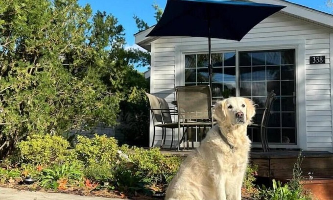 South Haven House | Dog Friendly Beach Cottage within a mile of town & 7 Lake Michigan beaches