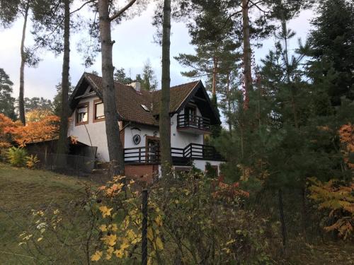 Grunwald House | Dom Pod Sosnami
