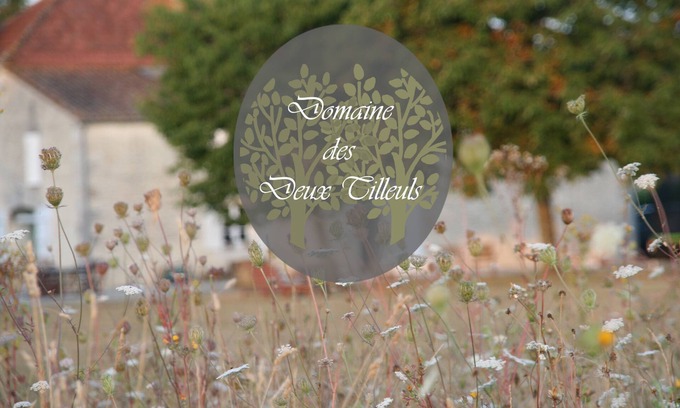 Saint-Georges-du-Bois House | Domaine des Deux Tilleuls - Cottage in a former barn