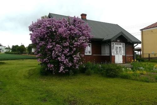 Tomaszow Lubelski House | Domek na wsi