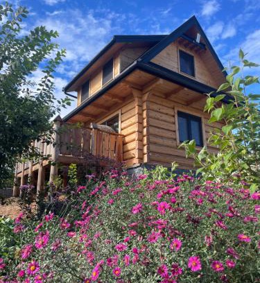 Bialka Tatrzanska Ski Chalet | Domki Na Wypasie