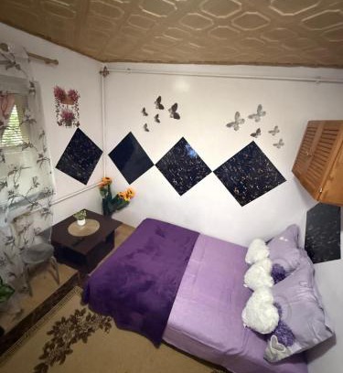 Lugoj Apartment | Dorina gazdă