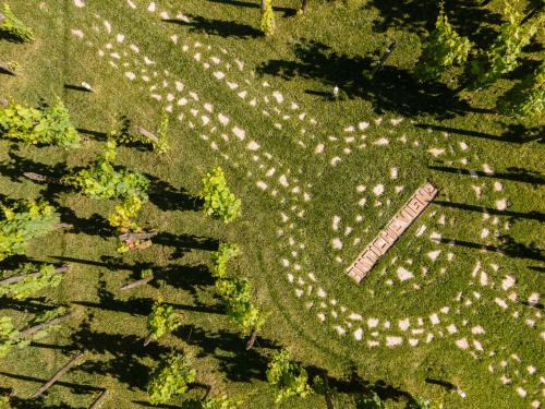 Marzi Bed & Breakfast | Dormire in una botte - Antiche Vigne Pironti