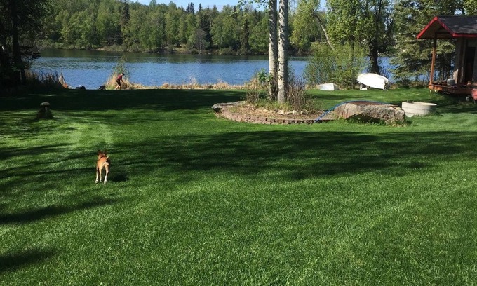 Nikiski House | Dragonfly on the Lake Alaska 1, You won’t forget your stay! Sauna, Fishing, more