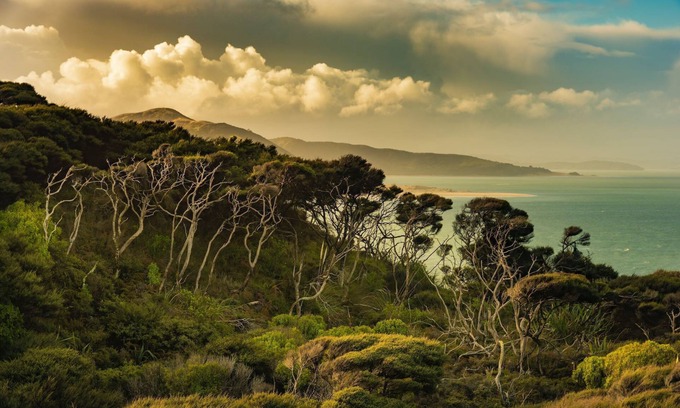 Raglan Cottage | Dreamcatcher Lodge, two-tone