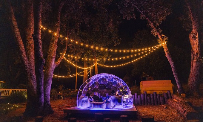 Oakhurst Cottage | Dreamy Forest Castle Sleeps 16: Dome, Views Games, Theater, Spa, Sauna