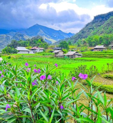 Yen Minh House | Du Già Family Homestay & Coffee