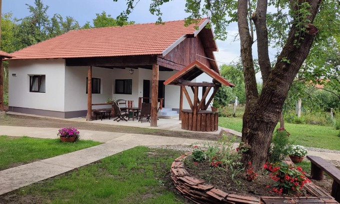 Pesteana House | Dumbrava Minunată