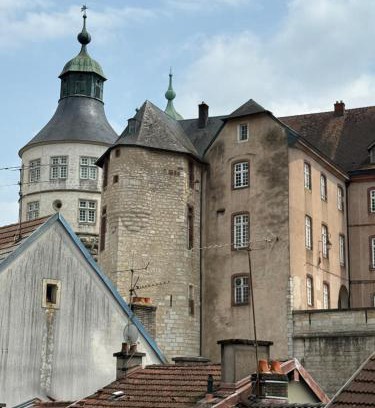 Montbeliard Apartment | Duplex spacieux - Centre ville - Vue sur le château