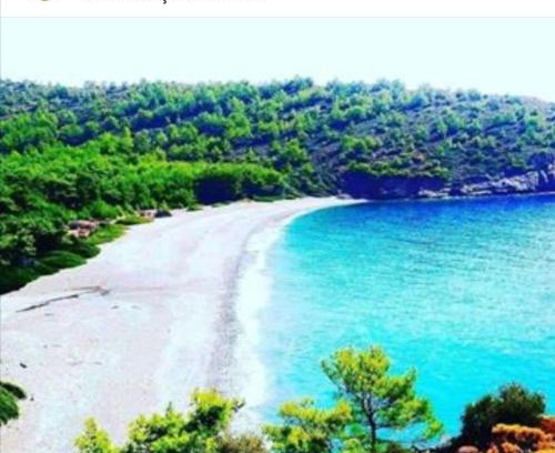 Datca Bed & Breakfast | DURUSU ÇİFTLİKEVLERİ
