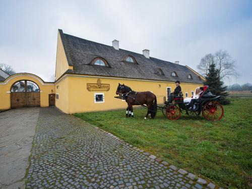 Karvina Hotel | Dvůr Olšiny -Hotel and Horse-riding
