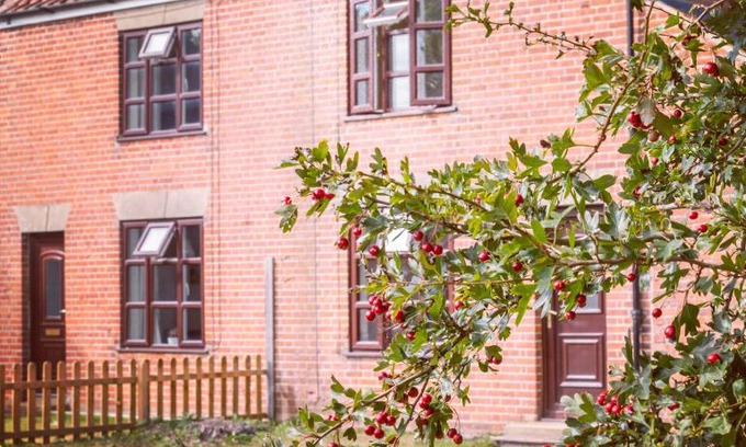 Irstead House | East Cottage at Walnut Farm, Waxham, Nr Sea Palling, path to the beach