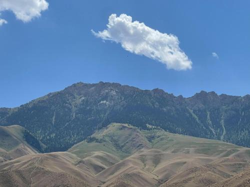 Naryn House | Eco house