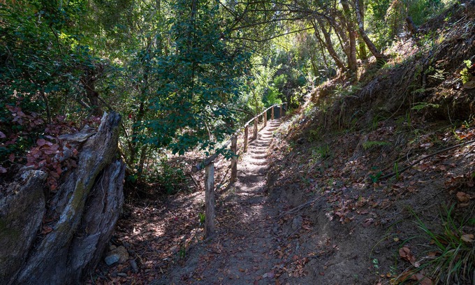 Nuble Region Cabin | Ecolodge And Wines with native nature, where Chilean wine was born.