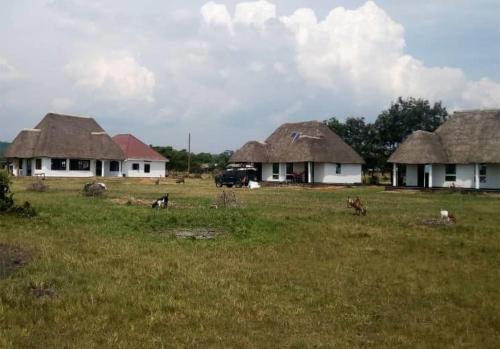 Western Region Cabin | Edward Lake Retreat and Campsite, Kisenyi Village
