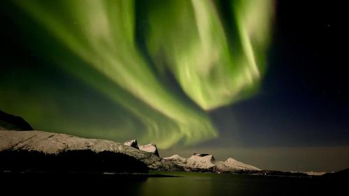 Ballangen House | Efjord and Stetind Resort - Cabin Ocean