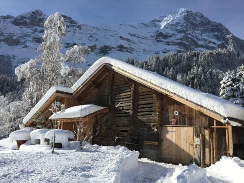 Grindelwald Apartment | Eigerhome - The Cottage mit Wellness - GRIWA RENT AG