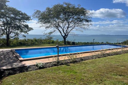 Torio House | El nido del tucán
