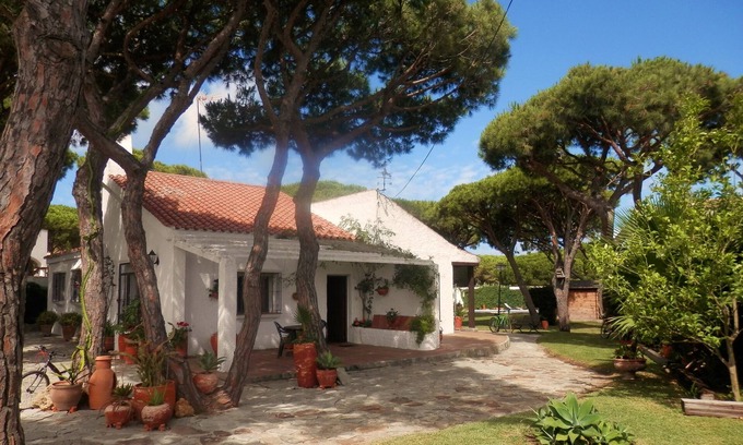 Los Gallos-Cerromolino Villa | El Olivo (The Olive Tree), Colonial Style Villa. Private Pool In Large Garden