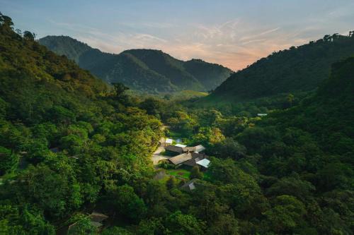 Toro Amarillo Cabin | El Silencio Lodge & Spa Costa Rica