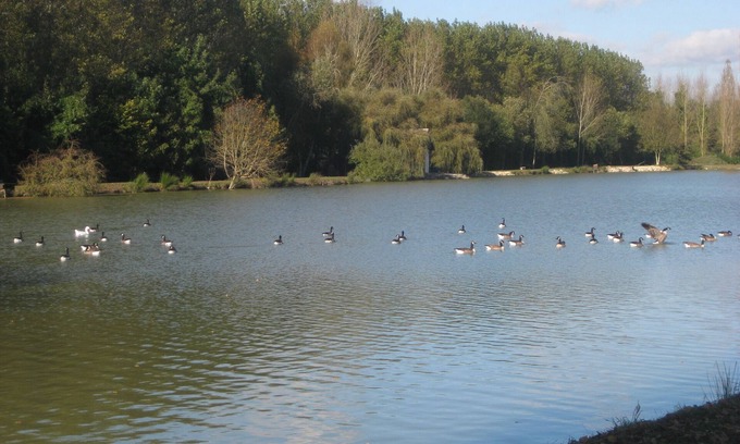 Les Marets House | Elegant cottage in a 8 ha park with lake, toys/swing set/ping pong .Paris 80km