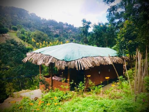 Ella House | Ella Jungle Rock