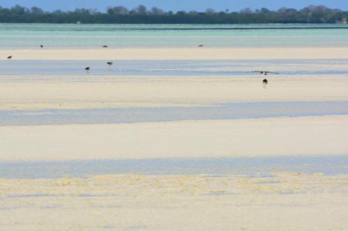Pemba Island Resort | Emerald Bay Resort