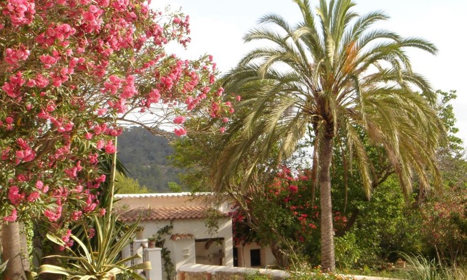 Sant Agusti des Vedra Villa | encantadora casa ibicenca