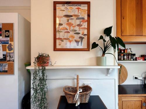 South Hobart House | Enchanting Vintage House at South Hobart