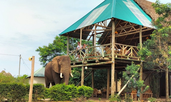 Kasese Cabin | Engiri Game Lodge & Campsite in Queen Elizabeth National Park, Uganda
