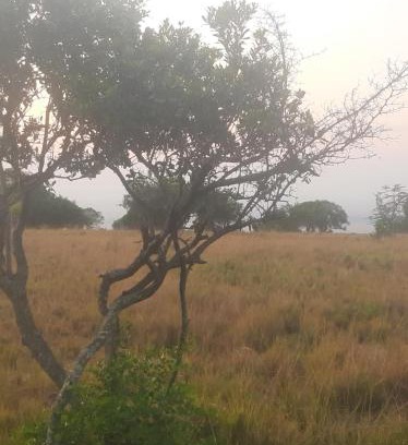 Mara North Conservancy Other | Enkereri Camp Maasai Mara