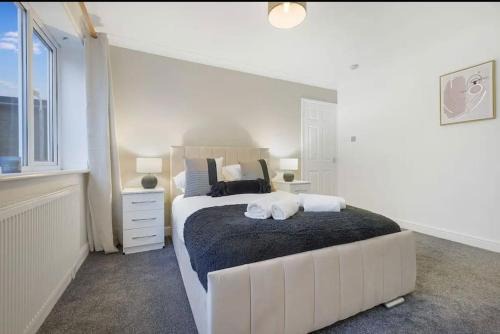 Middlesbrough House | Esher House