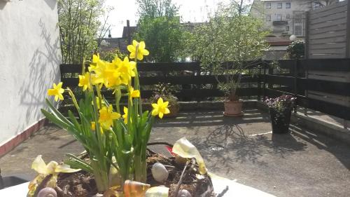 Ludwigshafen-Friesenheim Apartment | Eulennest-lu