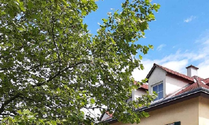 Waidhofen An Der Ybbs Apartment | Eva's City Apartement