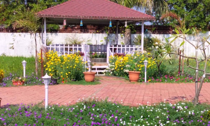 Bhopal Cottage | Experience Nature’s Charm: Unique Treehouse Stay by a Scenic Lake!