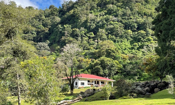 Nueva California House | Experience the spectacular natural beauty and tranquility of The Emerald Forest