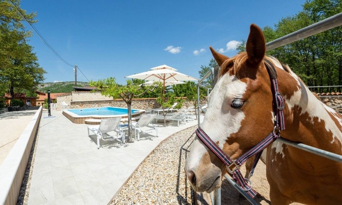 Vrlika House | Family friendly house with a swimming pool Maovice, Zagora (K-24726)