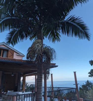 Ponta Delgada House | Fantatic Holiday House