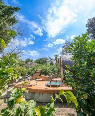 Ochi-gun House | farm and bed SETODA