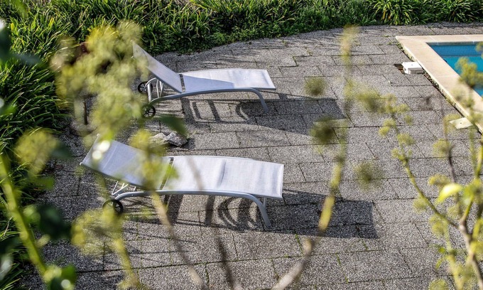 Travanca House | Farm In the middle of nature
