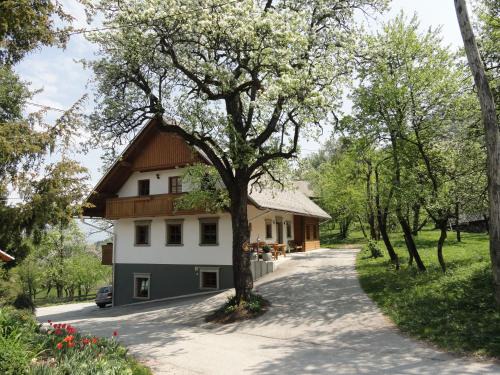 Bohinjska Bela House | Farm Stay Dolinar Krainer