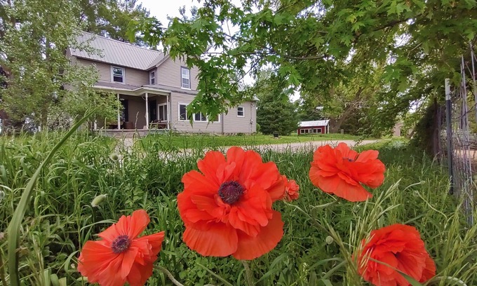 Rockfield Other | Farm to Folklore - Fairytale Farmhouse