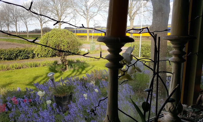 Westwoud House | Farmhouse at half-hour Amsterdam and 10 minutes Hoorn, Enkhuizen and Medemblik