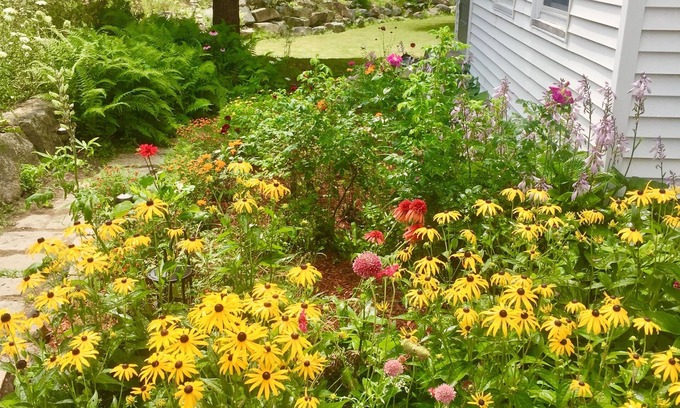 Hall Quarry Other | FARMHOUSE newly renovated in heart of Acadia with wild blueberries on 3 acres!