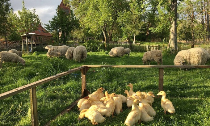 Pradikow House | Farmhouse with much peace