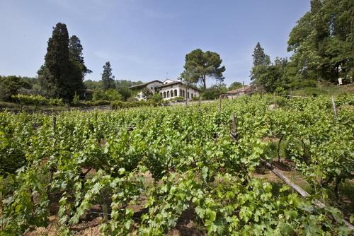 Arcugnano House | Fattoria Le Vegre