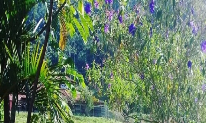 Sapucaia Cottage | Fazenda Boa Sorte Ample space for leisure for families and groups Viva o verde