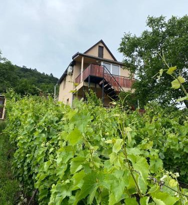 Satoraljaujhely Apartment | Fehér Szőlő Vendégház