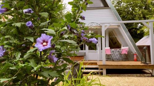 Billerbeck House | Ferienhaus am Waldrand
