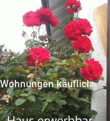 Murg Apartment | Ferienhaus Haus Kellerhof mit zwei Ferienwohnungen und Garten zu verkaufen Kontakt Peter Heubüschl Lörrach